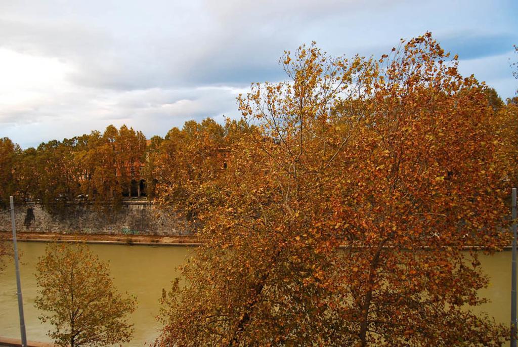 ローマOver The Tiber Loftアパートメント エクステリア 写真